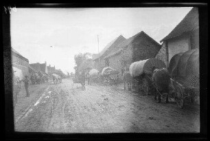 Bertincourt (Dep. Pas-de-Calais, Frankreich): Pferdegespanne mit Planwagen auf einer unbefestigten Ortsstraße (Rückansicht)