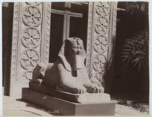 Ägyptisches Museum, Kairo: Ansicht, Sphinx Thutmosis III.