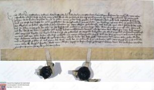 Ruppertenrod: Adelheid v. Muschenheim Witwe schenkt dem Kloster Wirberg und den Antonitern zu Grünberg benannte Güter zu Ruppertenrod