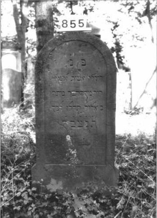 Grabstein 855