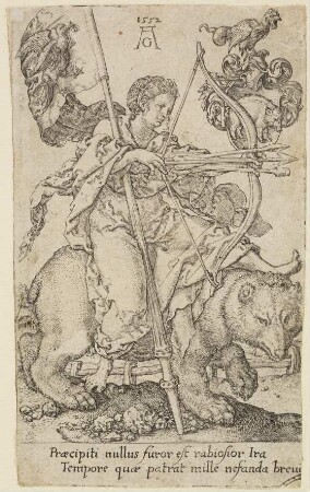 Der Zorn