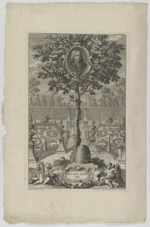 Bildnis des Albertus Pius III., Herzog von Bayern