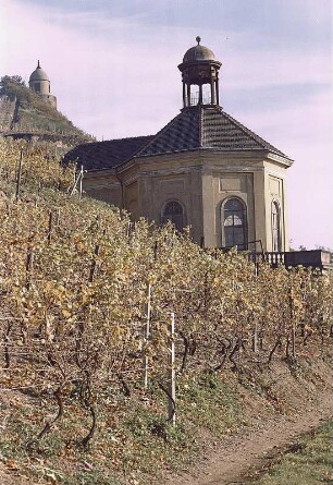 Radebeul. Schloß Wackerbarth, Belvedere, Weinberge und Jakobstein