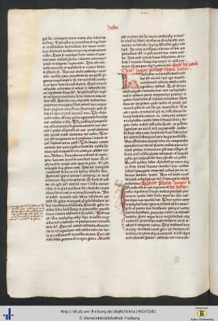 Liber hester