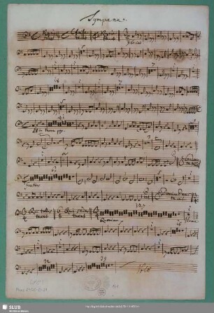 Tympana : Schreiber: Bach, Johann Sebastian