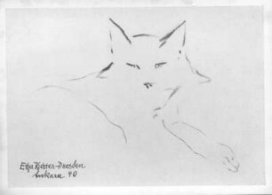 Liegende Katze : Liegende Katze. Kohlezeichnung (1940; E. Richter). Dresden-Striesen, Borsbergstraße, Atelier der Künstlerin