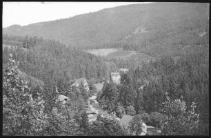 Bärenburg. Blick auf Wald-Bärenburg