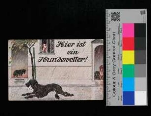 Postkarte von Heidi und Lisel Kannengiesser an Anna Kannengiesser