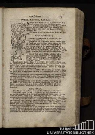 Cap. 246. Rettich, Raphanus.
