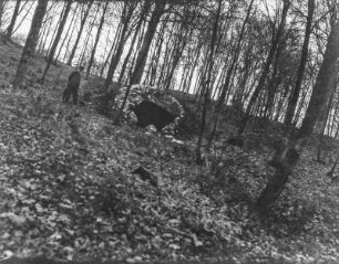 Höhle im Wald : Ein Mann in einem Waldstück steht neben einem Höhleneingang