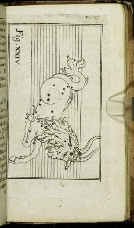 Fig. XXIV. - Fig. XXV.