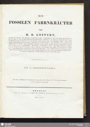 Die fossilen Farnkräuter : mit 44 Steindrucktafeln
