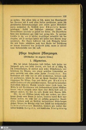 Pflege tragbarer Pflanzungen