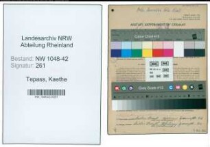 Entnazifizierung Kaethe Tepass , geb. 02.01.1894 ()