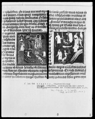 Avenares, Astrologische Handschrift — Konstellationen der Sternbilder, Folio 11recto
