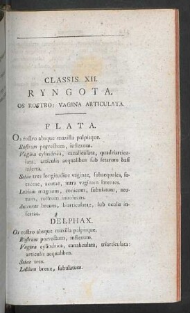 Classis XII. Ryngota.