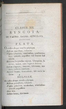 Classis XII. Ryngota.