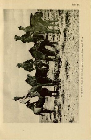 Tafel 16. Mongolische Pilger in der Kiessteppe auf dem Wege nach Urga