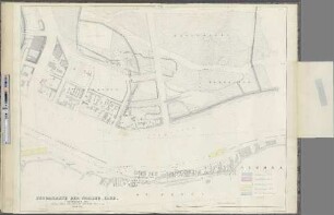 Blatt VII. : Gänseweide. Steinwärder. Kuhwärder. St. Pauli. Altona.