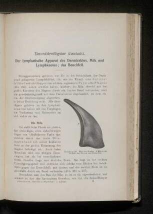 Einunddreißigster Abschnitt. Der lymphatische Apparat des Darmtraktus, Milz und Lymphknoten; das Bauchfell.