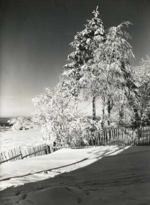 Gartenzaun im Schnee bei Seiffen