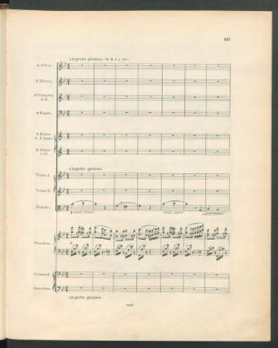 Allegretto grazioso
