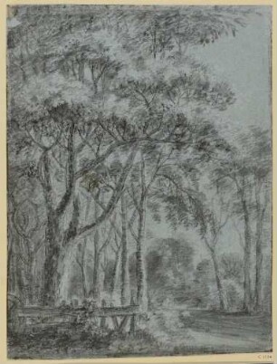 Waldlandschaft, vorn links ein Zaun