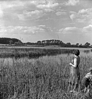 Stenzerteich: vorn Schilf: rechts Ellen Marfels mit Sohn Ole: hinten Baumreihen und Forst Karnap