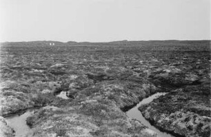 Landschaft : Ebene Landschaft in Norwegen.