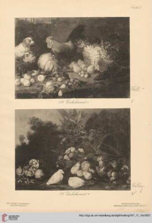 Tafel I-VII