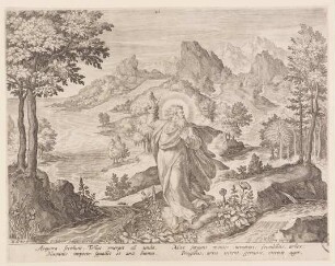 Dritter Tag: Gott erschafft Land, Meer und Pflanzen