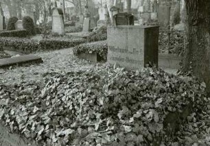 Trinitatisfriedhof, Fiedlerstraße, Arnoldstraße & Tatzberg