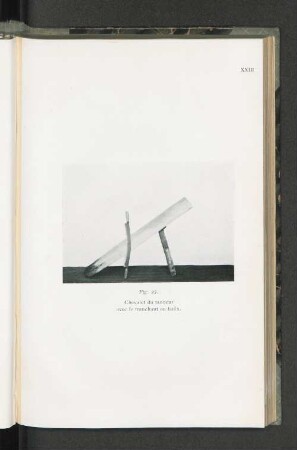 Fig. 27.