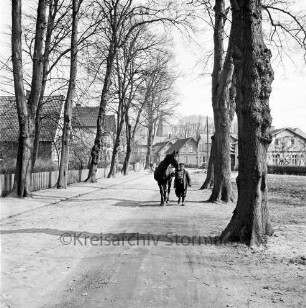 Alte Landstraße: Kopfsteinpflaster, Sommerweg: Mann führt Pferd an Zügel: Straßenbäume: Blick nach Osten: rechts Pferdemarkt: im Hintergrund Kirchturm