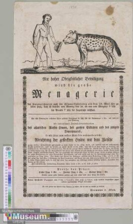 große Menagerie