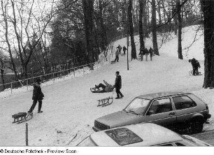 Beim Rodeln im Bienert-Park