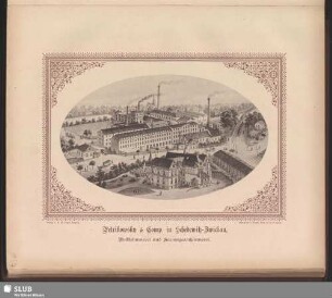 Petrikowsky & Comp. in Schedewitz-Zwickau., Wollkämmerei und Kammgarnspinnerei