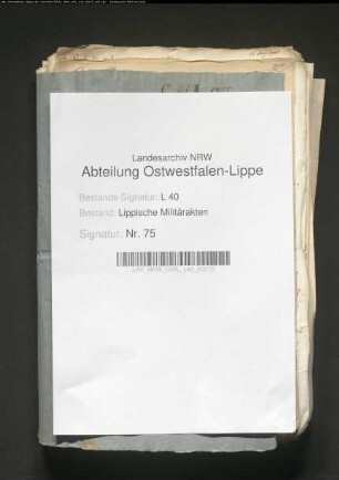 Einsatz der lipp. Kreiskompanien