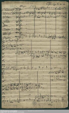 Ich freue mich im Herrn - Mus.2133-E-506 - Mus.2133-E-506a : V (4), Coro, strings, bc