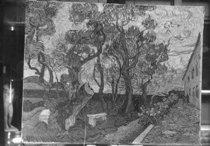 Der Garten der Heilanstalt Saint-Paul-de-Mausole / Der Irrenhausgarten von Saint Rémy / Le parc de l'hôpital (Saint Rémy)