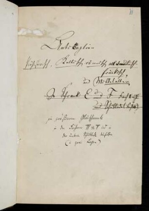 11-54d, Catalog der sog. Anticaglien usw. (prähistorisch, keltisch, römisch...Mittelalter)