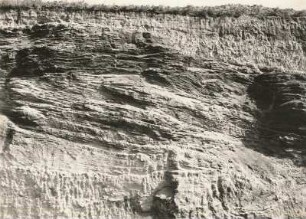 Bad Lausick (?). Kiesgrube am Hudelberg. Aufschluß einer Sandgrube mit kreuzgeschichteten Sanden unter einer Lehmschicht