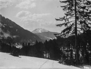 Talblick : Blick in das Rohrmooser Tal