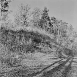 Schanze Kopschin : Kopschiner Schanze