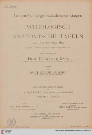Heft 8: Pathologisch-anatomische Tafeln