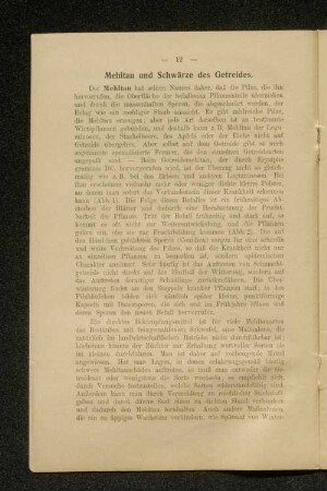 Mehltau und Schwärze des Getreides.