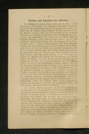 Mehltau und Schwärze des Getreides.
