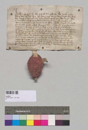 Abt Erhard, Prior Johann Mauerwanger und der Konvent von Seeon schließen eine Gebetsverbrüderung mit Abt Johannes und dem Konvent von Kloster Raitenhaslach. S1: Abt Erhard v. Kl. Seeon, S2. Konvent v. Seeon