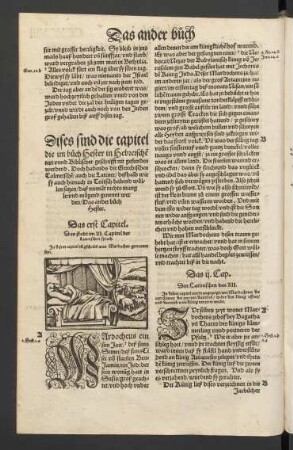 Dises sind die capitel die im buch Hester in Hebreischen text unnd Biblischer geschrifft nit gefunden werdend