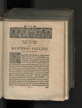 De mysterio pavlino